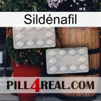 Sildénafil 17